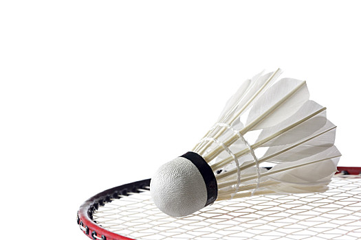 脚趾骨折 脚趾骨折