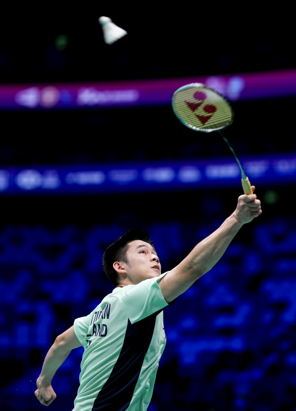 在今年举办 在今年举办