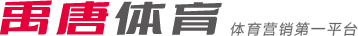 意甲连线里